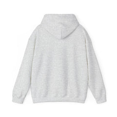 Christmas Cats Hoodie - Dear Santa I can explain