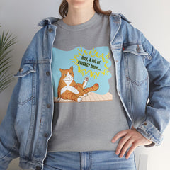 Hey Can I Get a Bit of PRIVACY Here..Orange Cat Graphic T-Shirt
