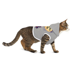 Halloween Pet Hoodie - Just a Bite of Fun, Spooky Dog Sweatshirt, Cat Costume, Fall Pet Apparel, Pet Lover Gift