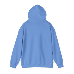 Christmas Cats Hoodie - Dear Santa I can explain