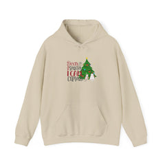 Christmas Cats Hoodie - Dear Santa I can explain